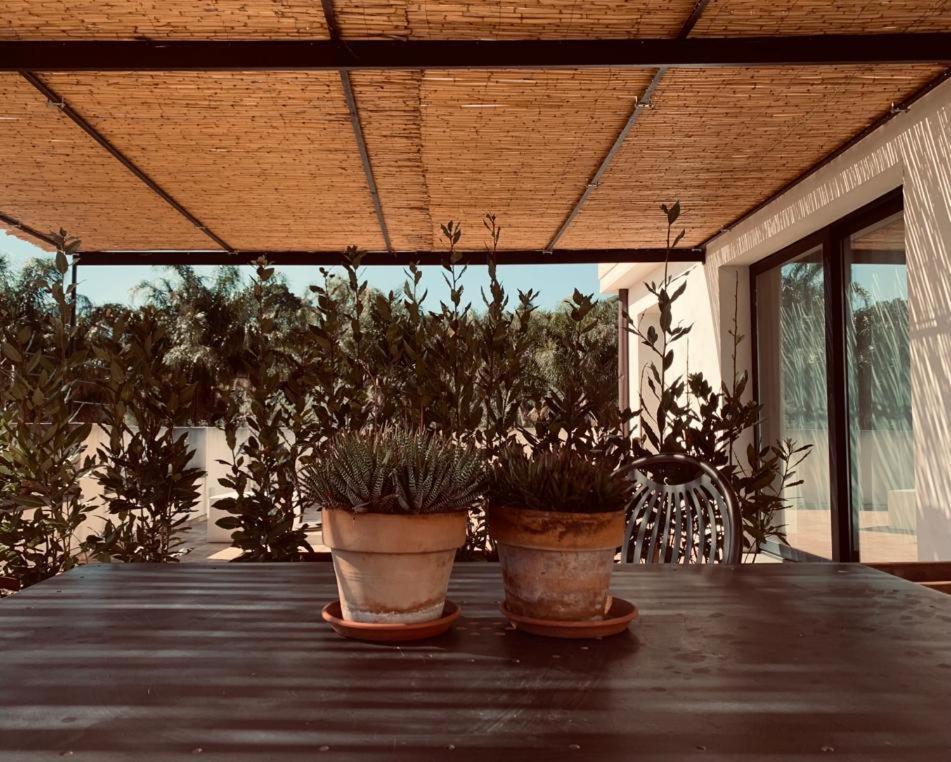 Petrasicula Apartment Aci Trezza Exterior foto